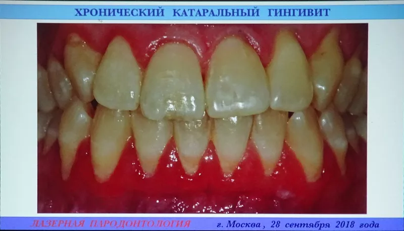 DSC04897.JPG