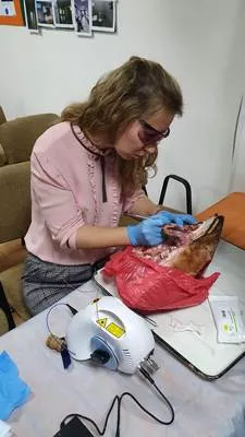 мк1.jpg