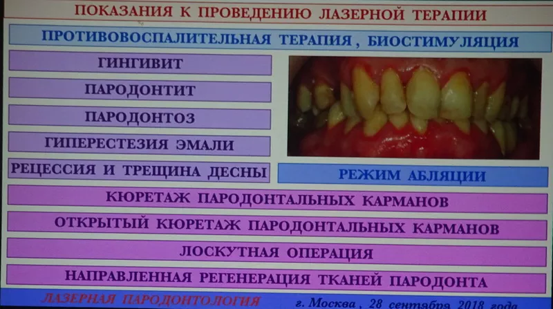 DSC04870.JPG