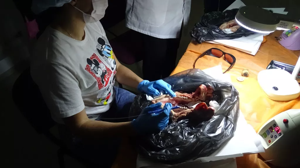 DSC09250 4.JPG