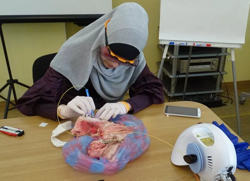 DSC08178.JPG